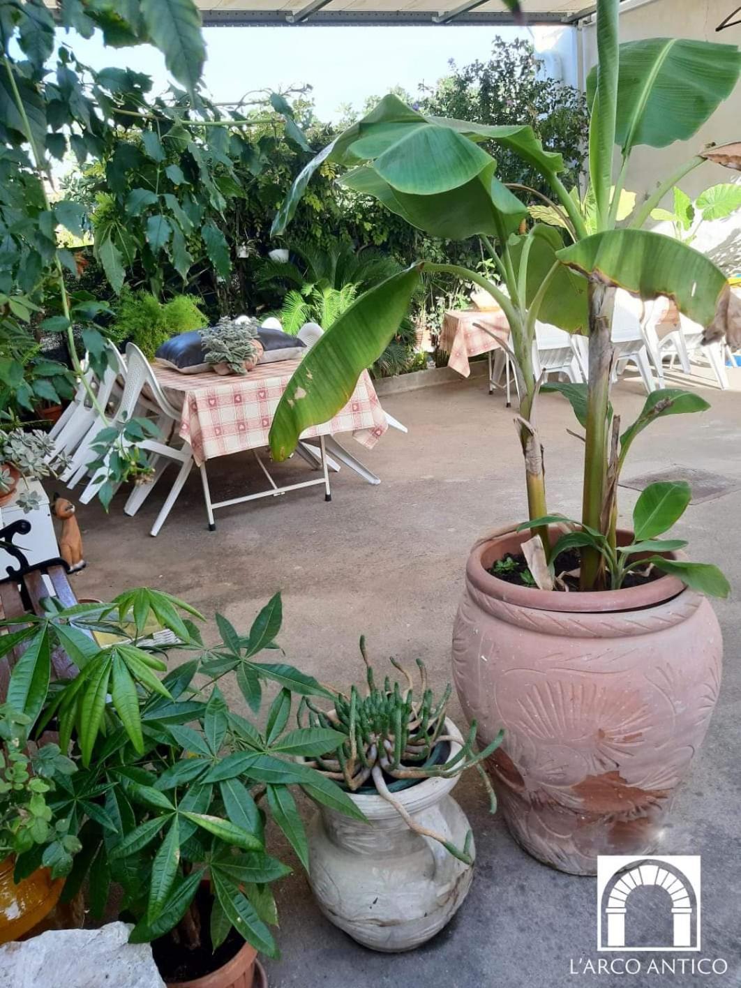 Arco Antico Hotel Grassano ภายนอก รูปภาพ